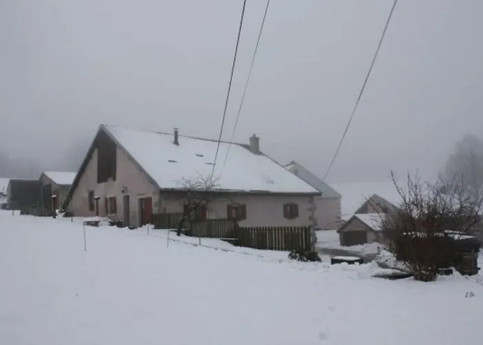 Paisible A 650m D'alt., Nature, Cheminee, 3 Ch. Pres De Remiremont & Plombieres, Terrasse, Grand Terrain - Fr-1-589-50 Girmont-Val-dʼAjol