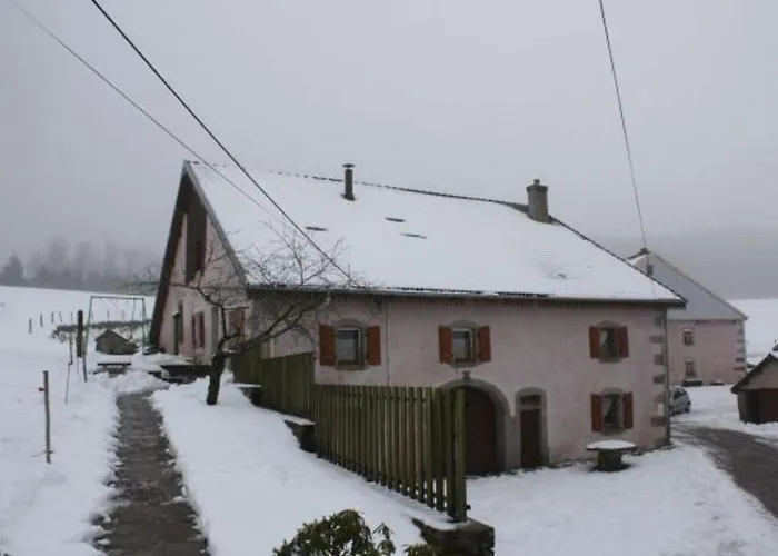 Paisible A 650m D'alt., Nature, Cheminee, 3 Ch. Pres De Remiremont & Plombieres, Terrasse, Grand Terrain - Fr-1-589-50 Prázdninový dům *