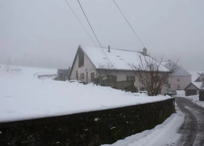 Prázdninový dům Paisible A 650m D'alt., Nature, Cheminee, 3 Ch. Pres De Remiremont & Plombieres, Terrasse, Grand Terrain - Fr-1-589-50 Girmont-Val-dʼAjol